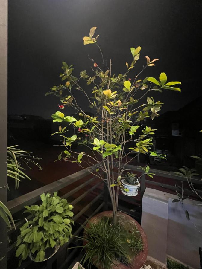 Sunflower Homestay ハイフォン エクステリア 写真