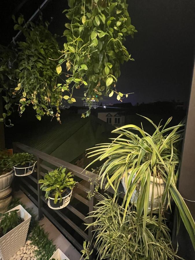 Sunflower Homestay ハイフォン エクステリア 写真